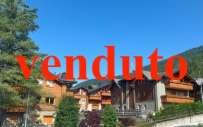 Splendido Bilocale finemente arredato direttamente sulle piste, Box, patio e giardino privato Euro 210.000,00