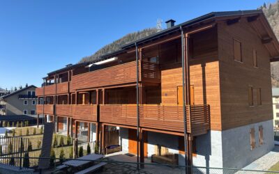 Esclusivo!Nuovo Chalet”Blue Moon”,trilocale doppi servizi nuovissimo completamente arredato, giardino esclusivo a sud, ampio box e cantina, ski room, classe A4